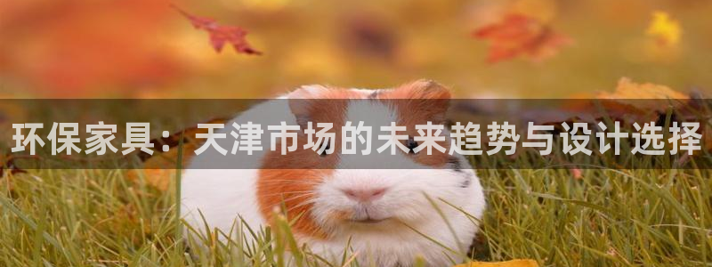 杏宇注册登录中心