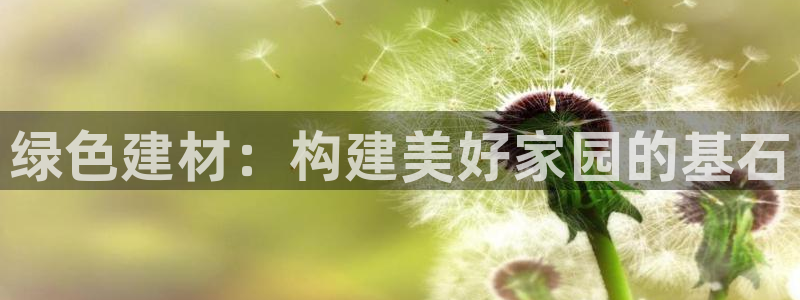 杏宇测速登录地址