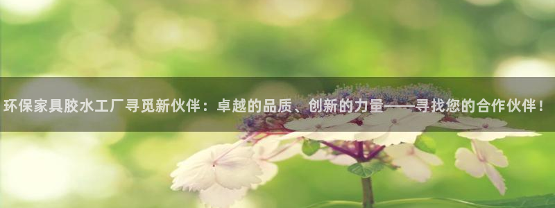 杏宇注册代理