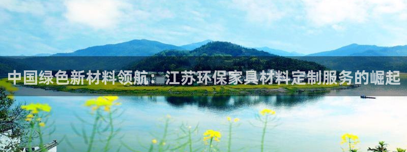杏宇注册代理