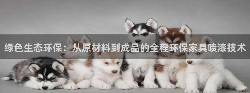 杏宇平台客户端