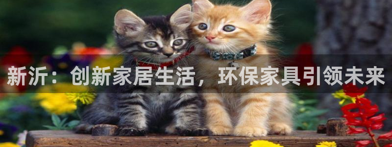 杏宇平台代理注册