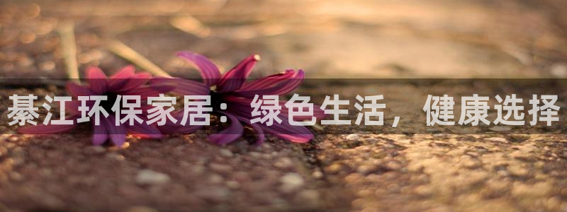 杏宇平台代理注册多少钱一年