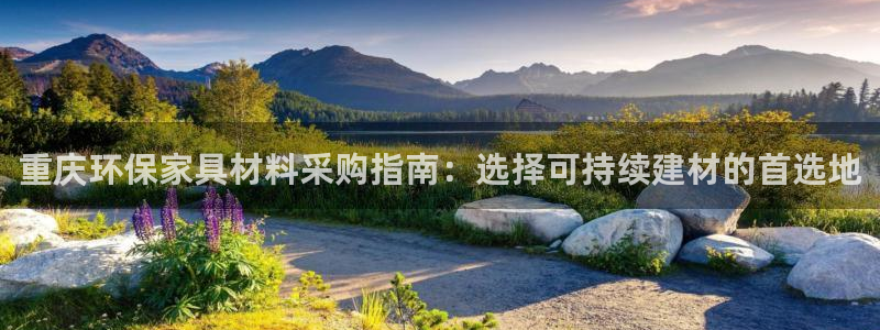 杏宇官网游戏
