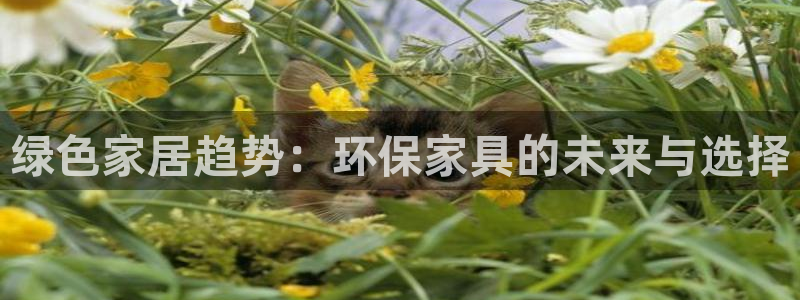 杏宇app怎样申请退款