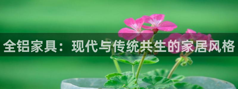 杏宇平台注册会员